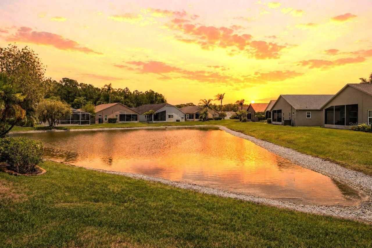 1032 Dustan Place, Trinity, FL 34655 Photo