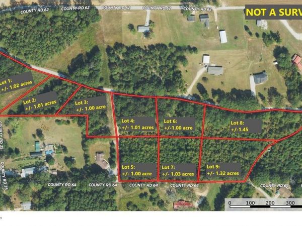 Lot 6 Sartain Road Road, Dennis, MS 38838