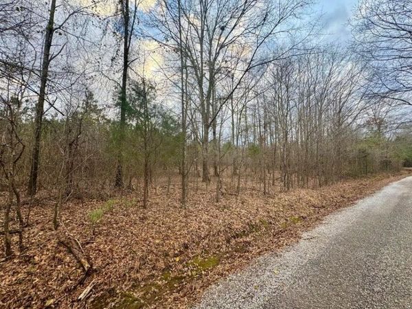 Lot 8 Sartain Road Road, Dennis, MS 38838