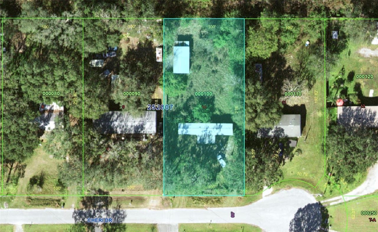 4222 Cheri Drive, Auburndale, FL 33823 Photo