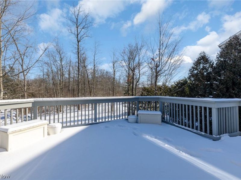 19443 Rye Gate Drive, North Royalton, OH 44133 Photo 49
