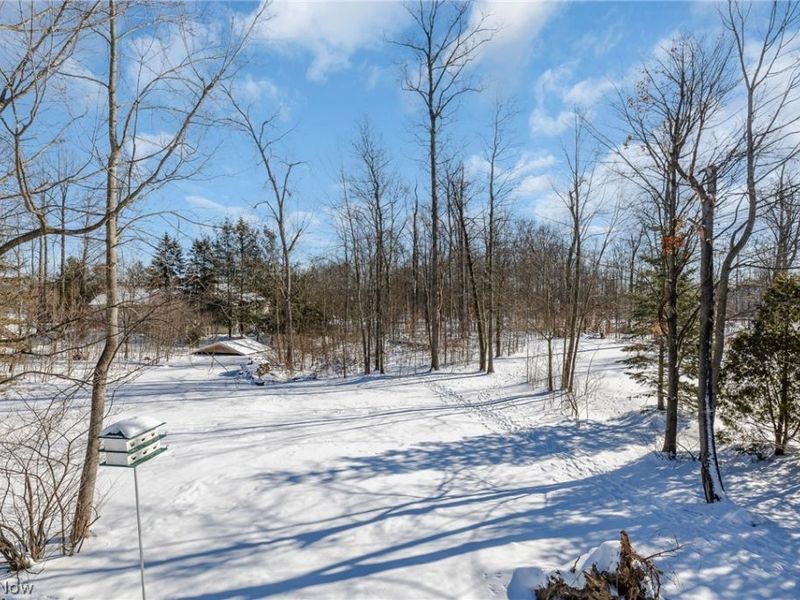 19443 Rye Gate Drive, North Royalton, OH 44133 Photo 6