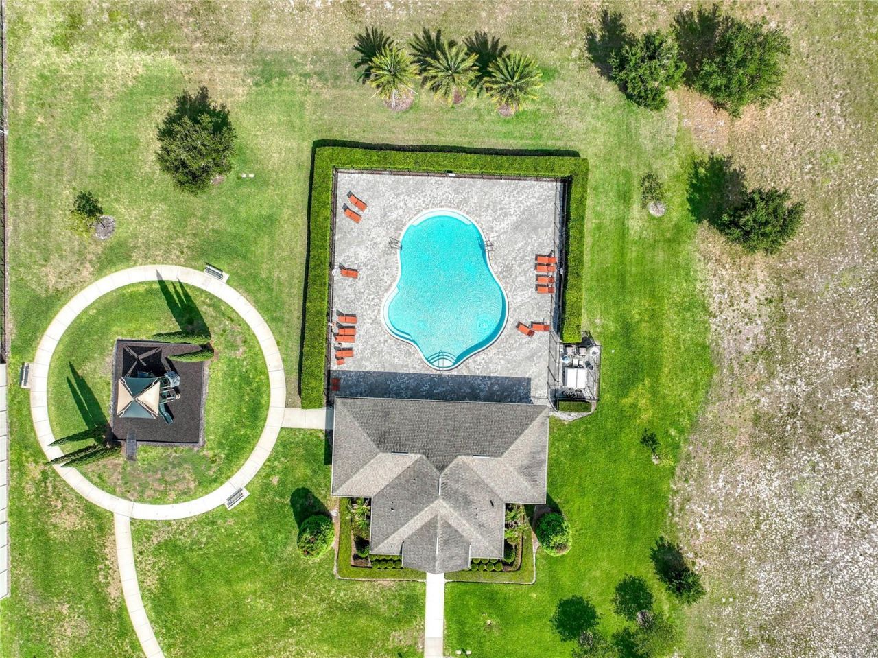 1315 Dusty Pine Drive, Apopka, FL 32703 Photo