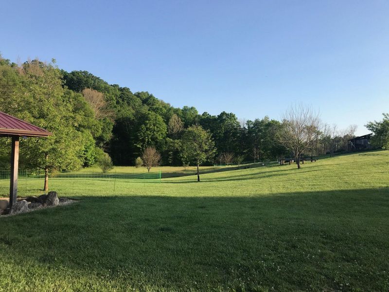 19460 Goat Run Honey Fork Road, Logan, OH 43138 Photo 21