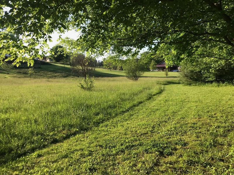 19460 Goat Run Honey Fork Road, Logan, OH 43138 Photo 22
