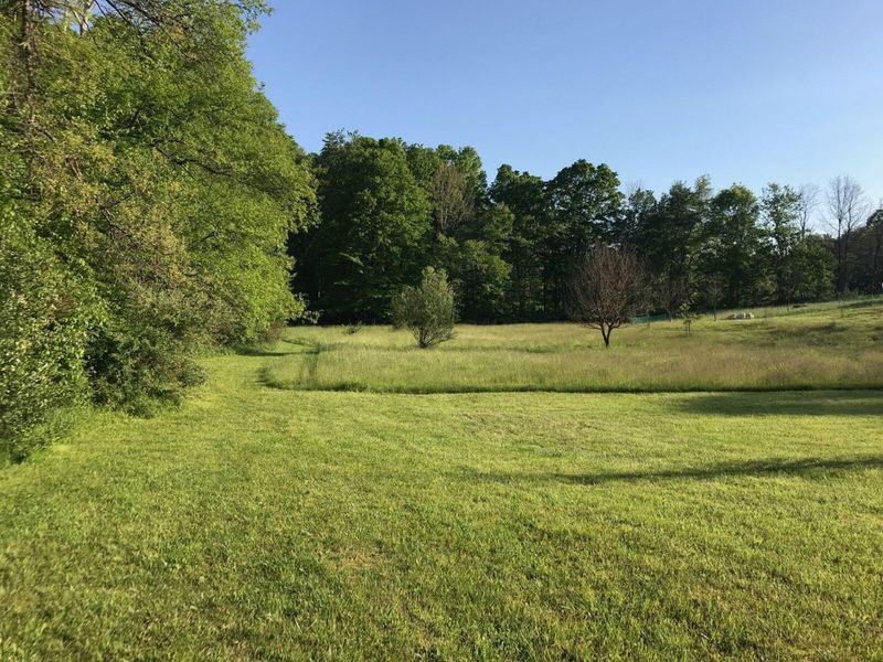 19460 Goat Run Honey Fork Road, Logan, OH 43138 Photo 24