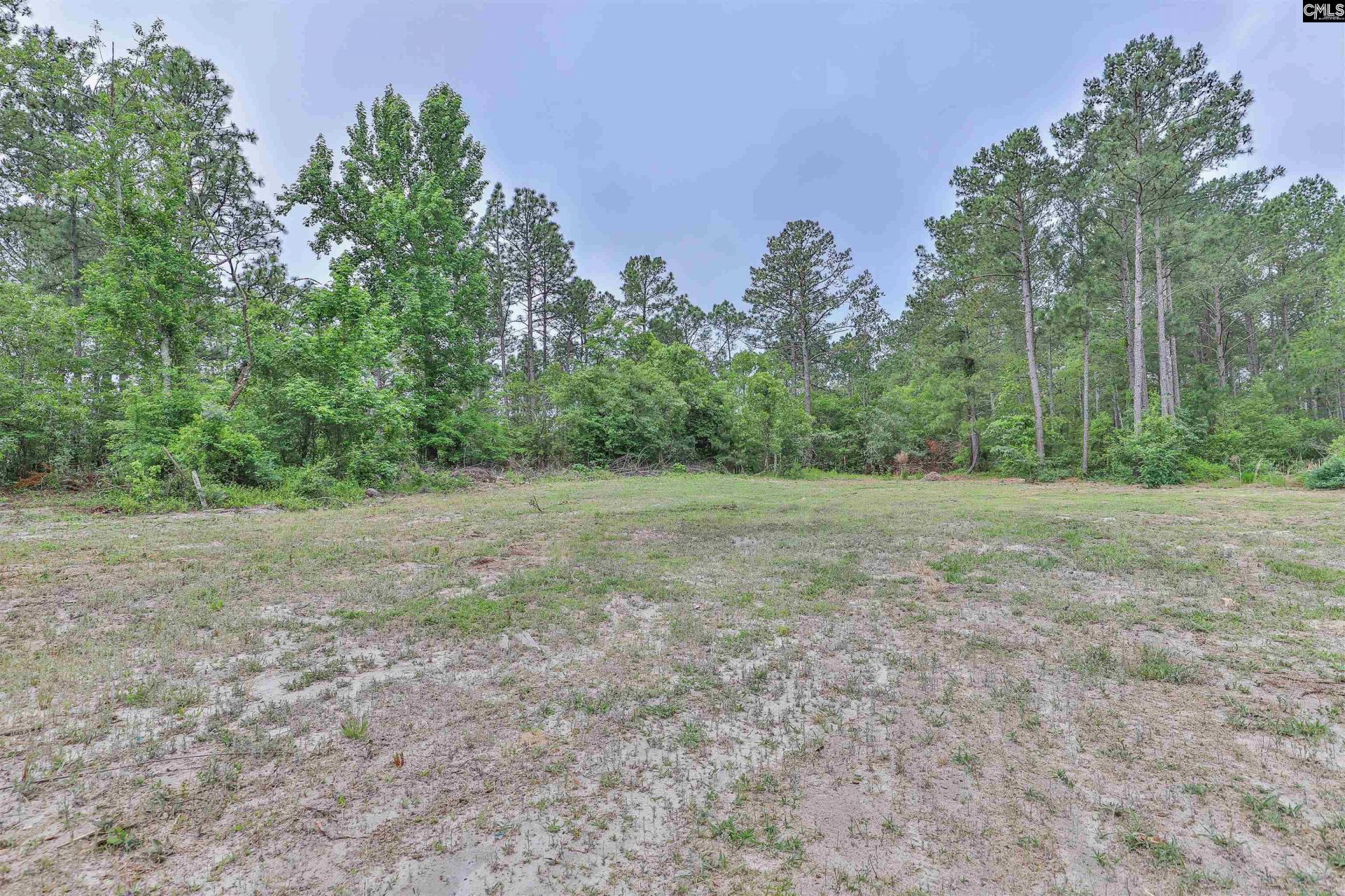 3209 Old Charleston Road  Photo 43