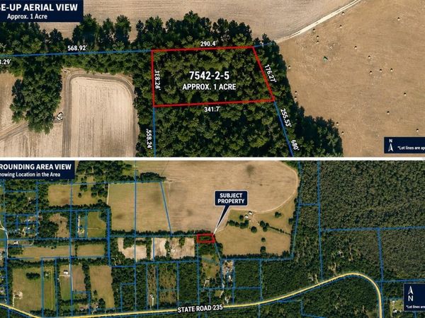 ST RD 235 , BROOKER, FL 32622