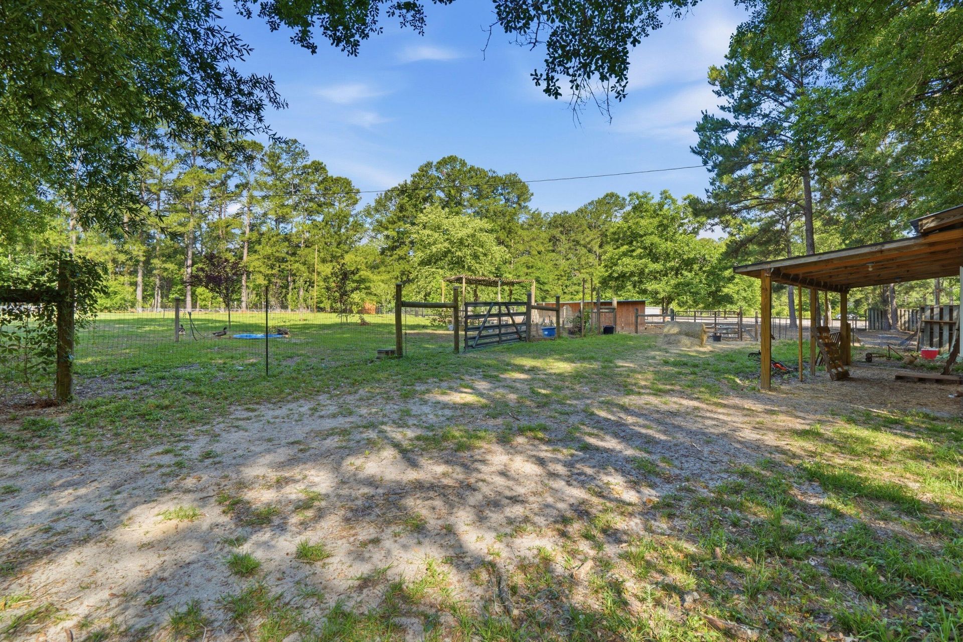 155 Sweatman Road Photo 32