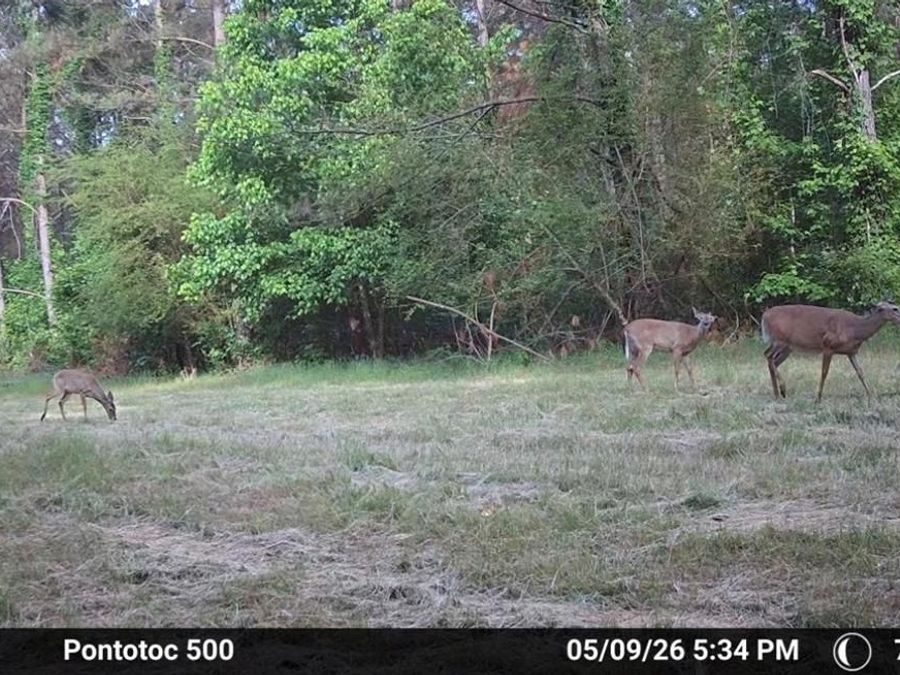 Property Image 57
