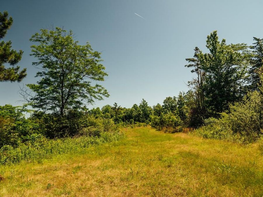 Property Image 90