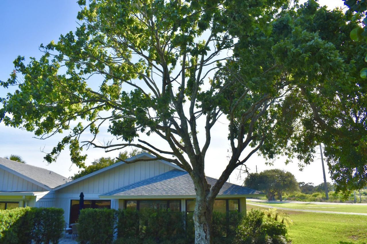 12638 SE Cascades Court, Hobe Sound, FL 33455 Photo