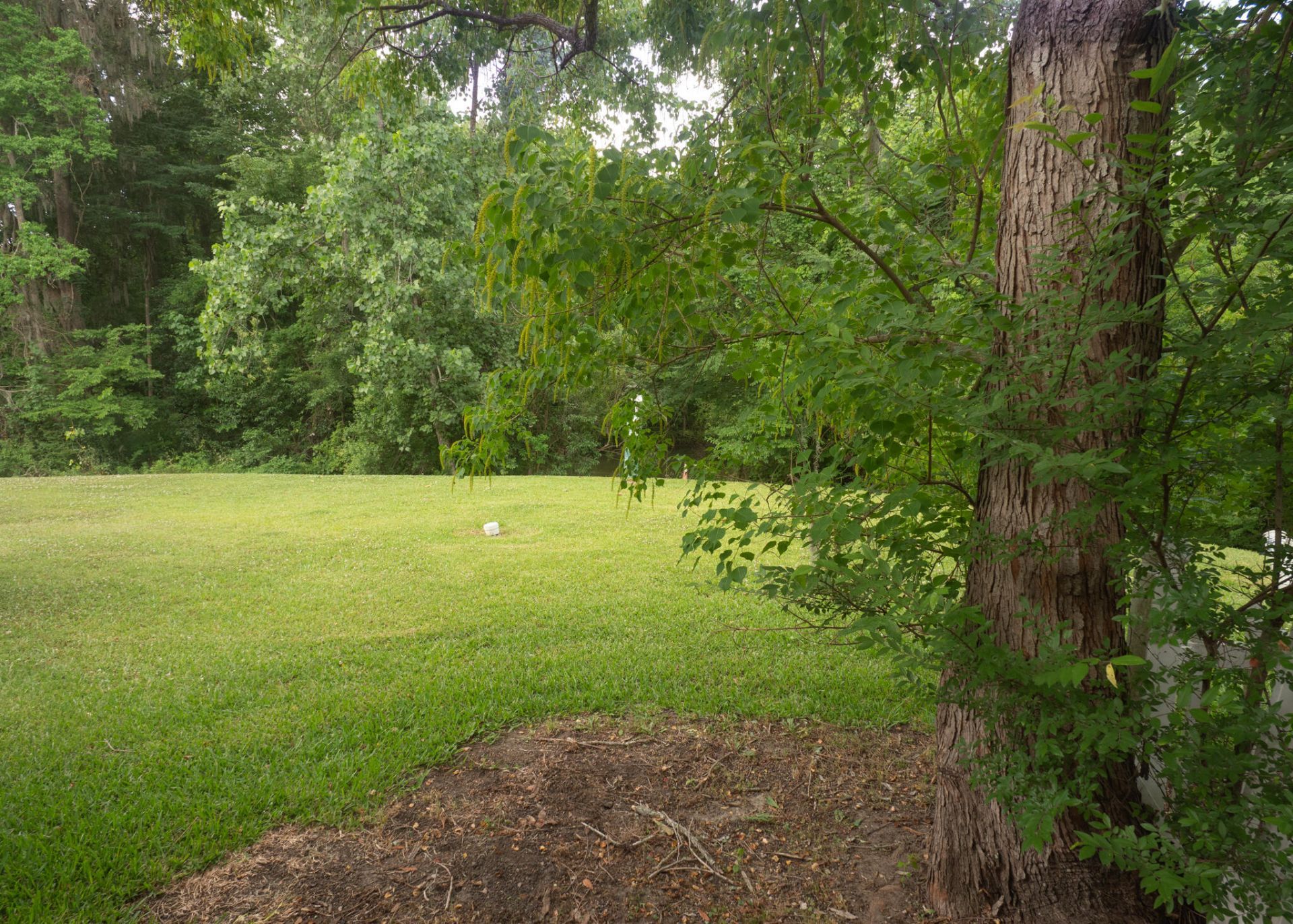 7919 Shadow Oak Drive Photo 15