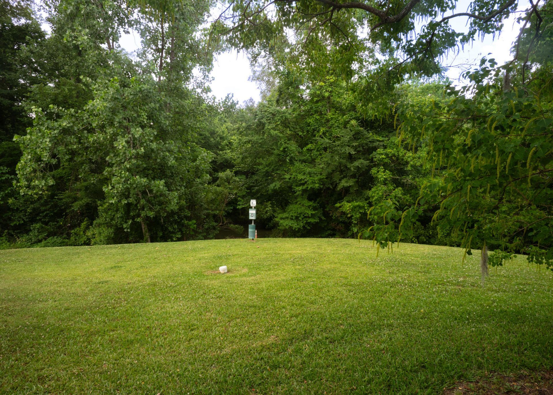 7919 Shadow Oak Drive Photo 16