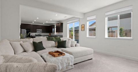 1127 Dapple Drive, Minden, NV 89423 Photo