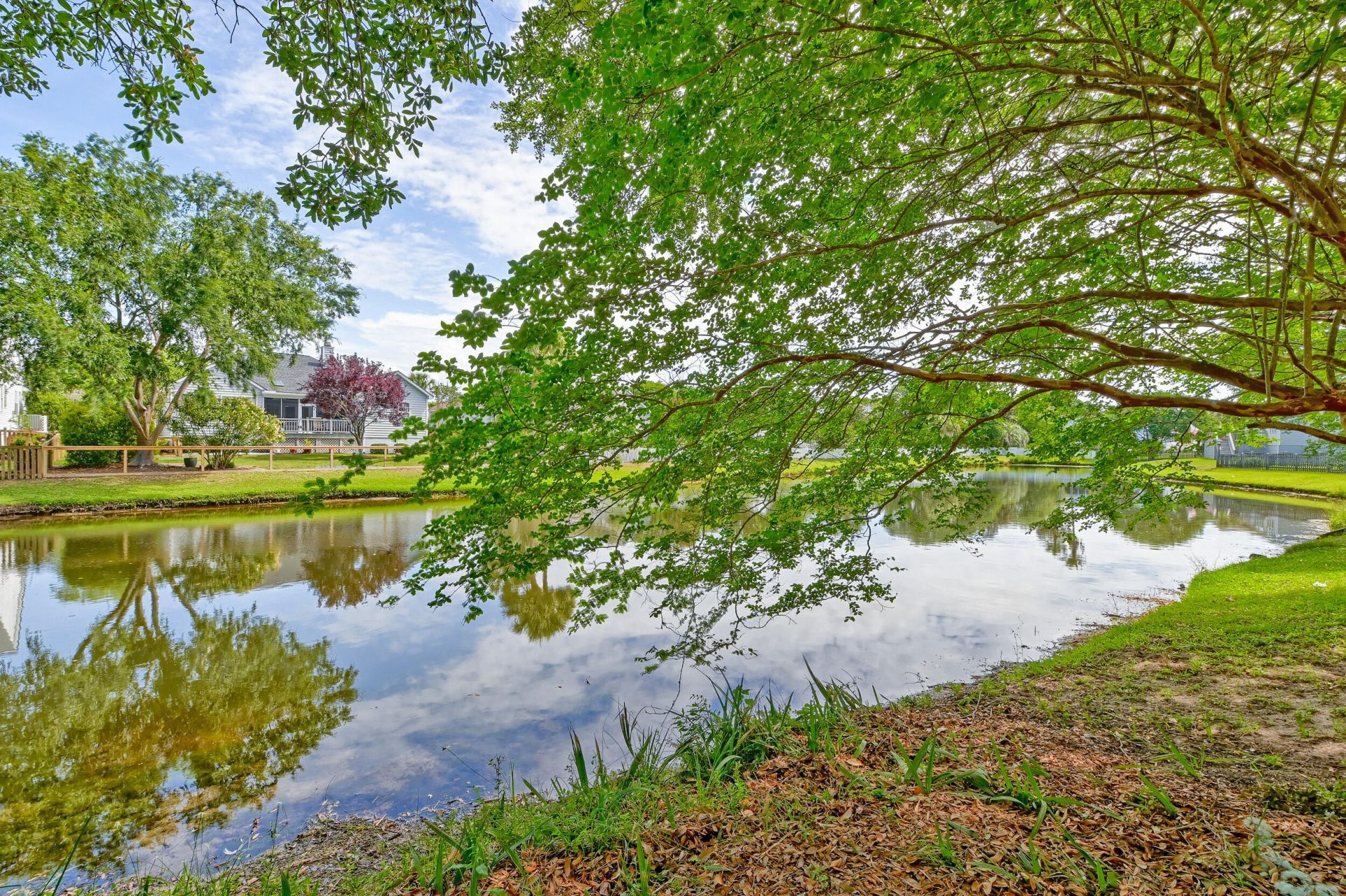 2660 Magnolia Woods Drive Photo 17