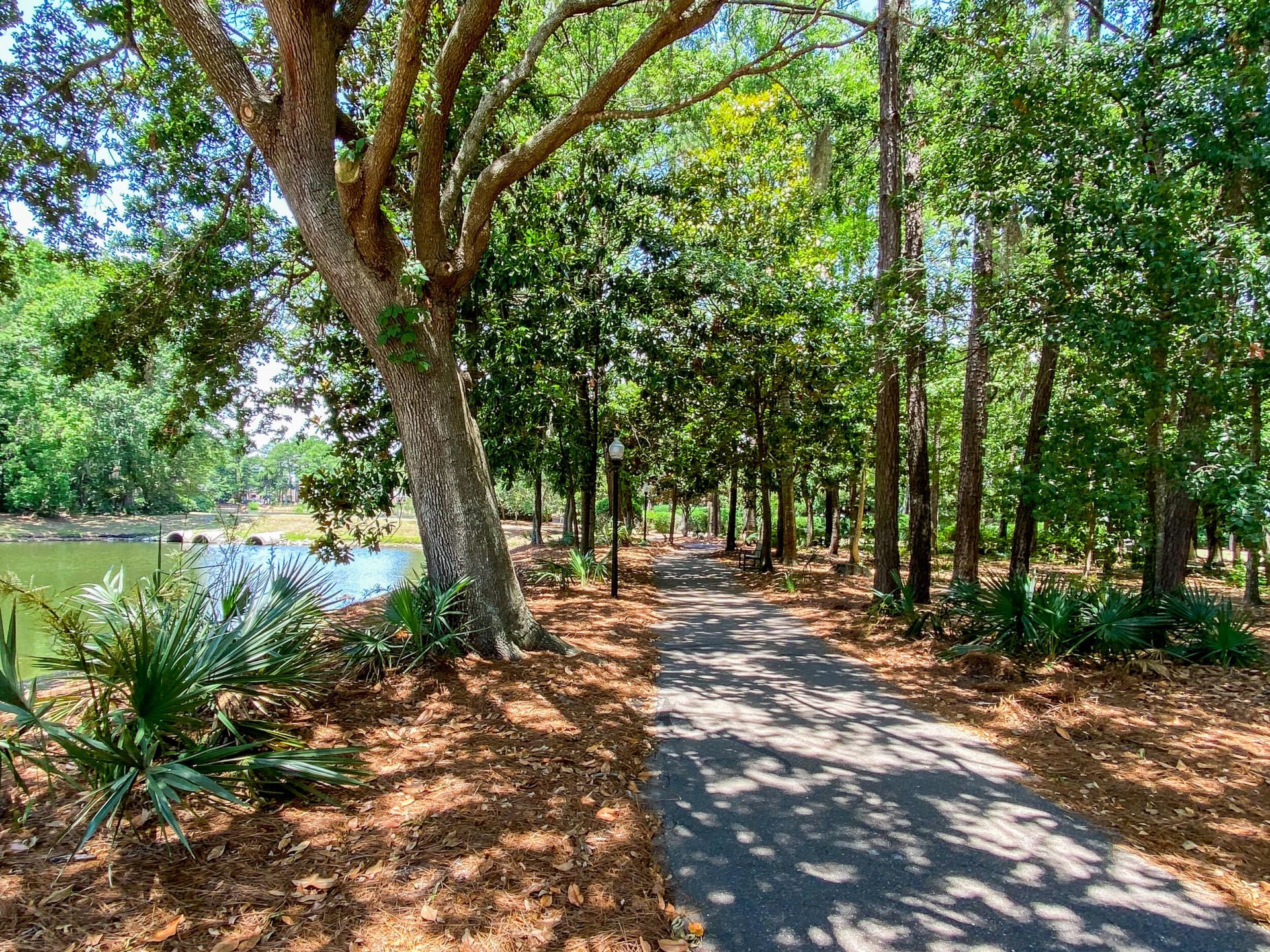 2660 Magnolia Woods Drive Photo 92