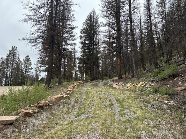225 Trout Creek Lane , Fairplay, CO 80440
