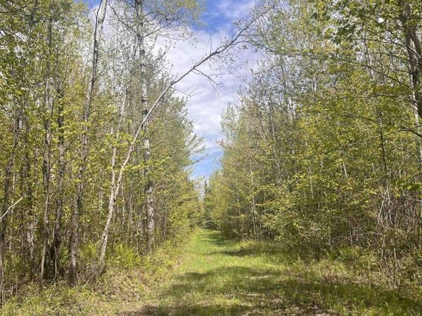 80 acres CLAUSEN ROAD, Prentice, WI 54556