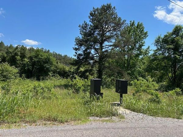 County Road 3538 , Clarksville, AR 72830