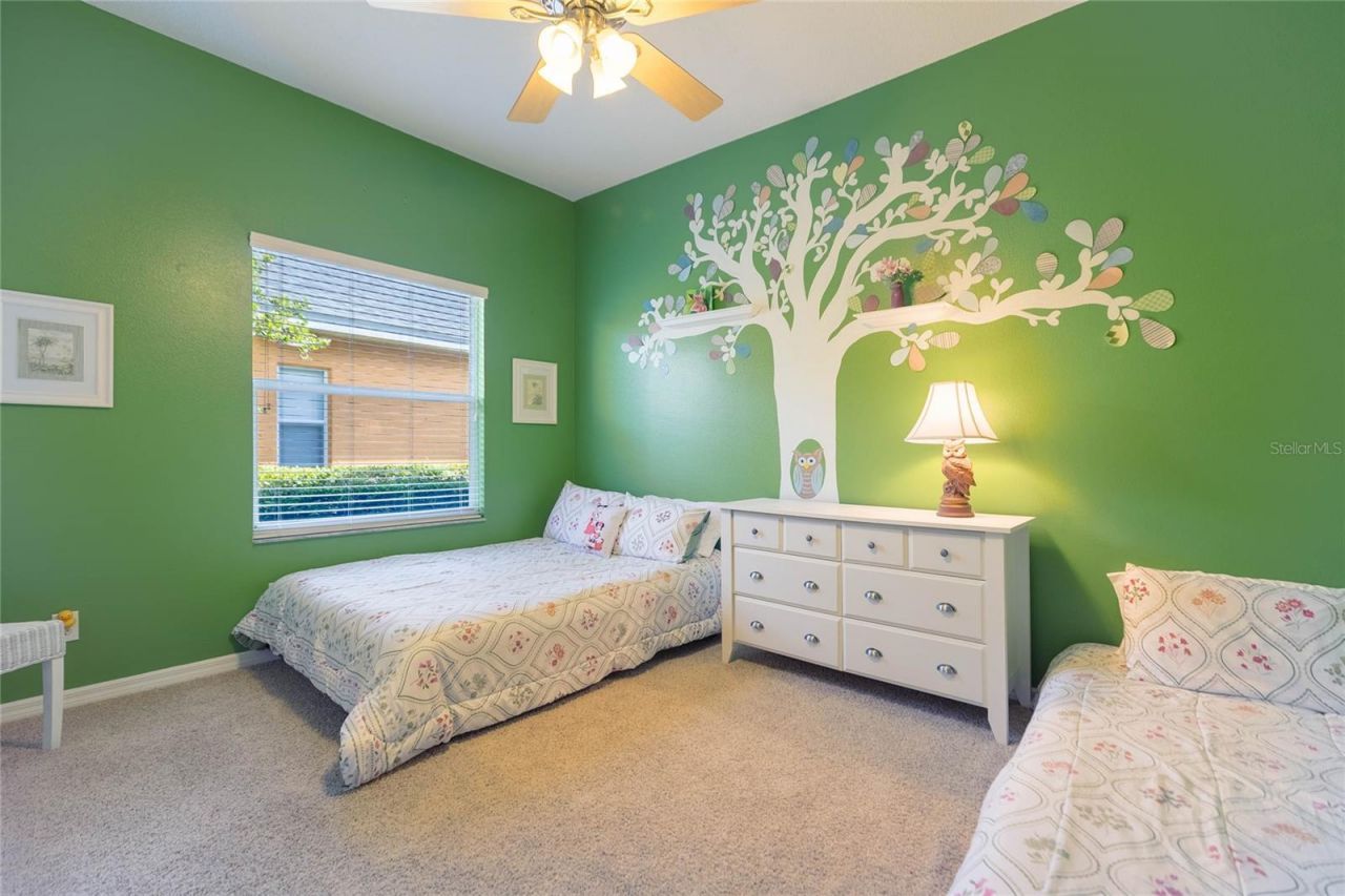 10717 Cory Lake Drive, Tampa, FL 33647 Photo