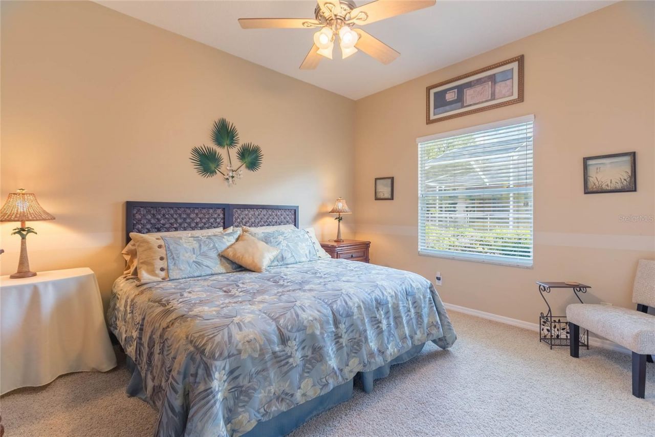 10717 Cory Lake Drive, Tampa, FL 33647 Photo