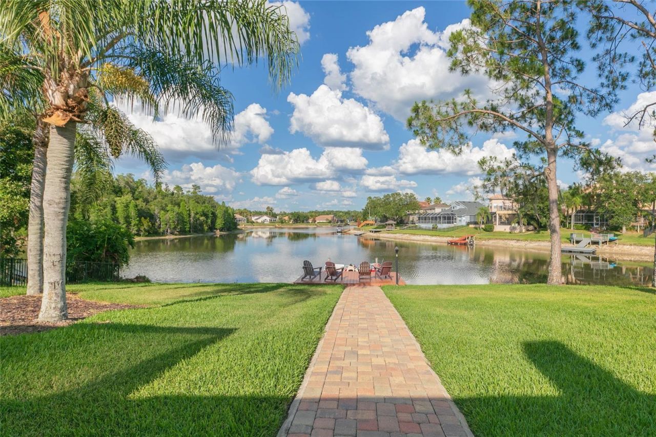 10717 Cory Lake Drive, Tampa, FL 33647 Photo