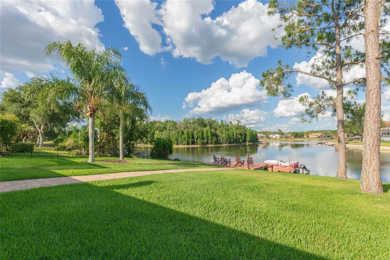 10717 Cory Lake Drive, Tampa, FL 33647 Photo
