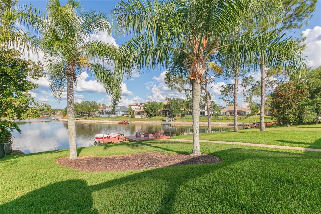 10717 Cory Lake Drive, Tampa, FL 33647 Photo