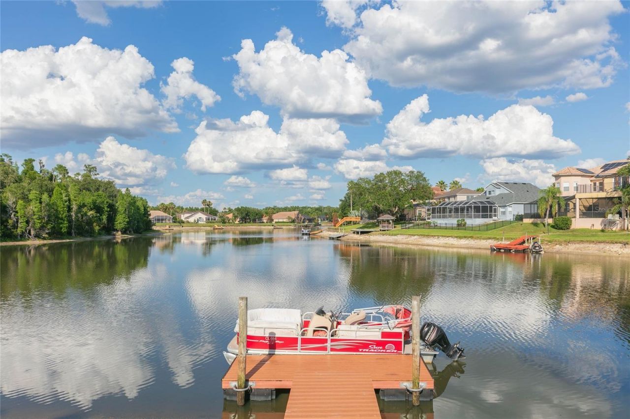 10717 Cory Lake Drive, Tampa, FL 33647 Photo