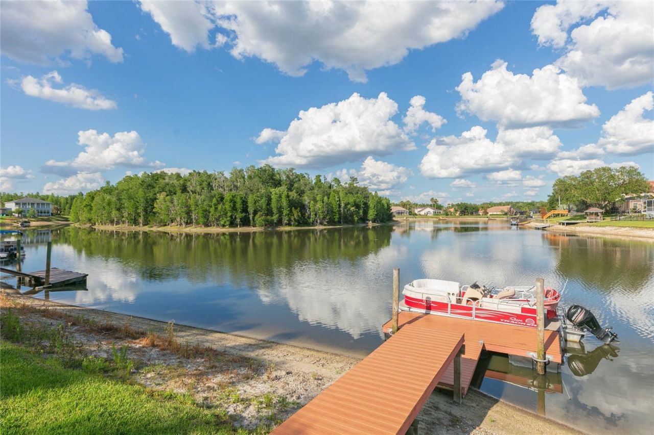 10717 Cory Lake Drive, Tampa, FL 33647 Photo