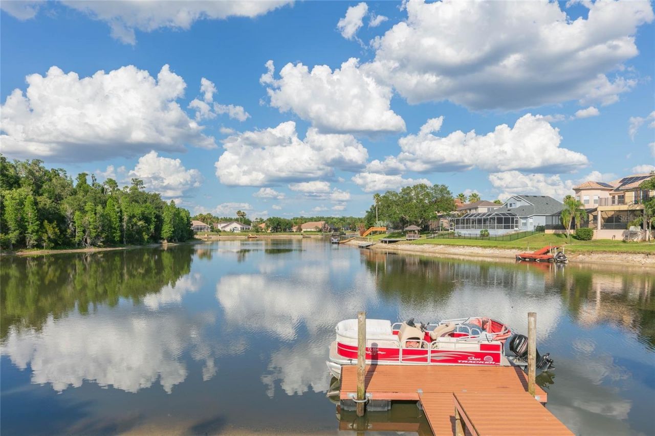 10717 Cory Lake Drive, Tampa, FL 33647 Photo
