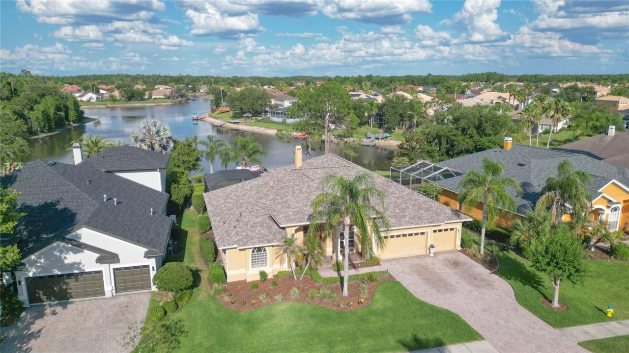 10717 Cory Lake Drive, Tampa, FL 33647 Photo