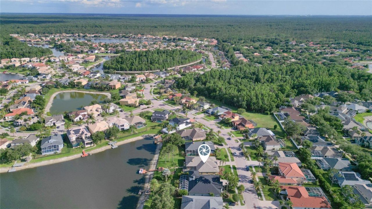 10717 Cory Lake Drive, Tampa, FL 33647 Photo
