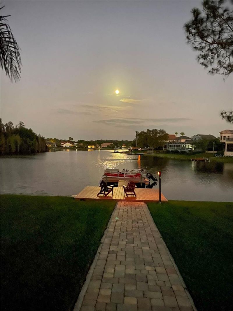 10717 Cory Lake Drive, Tampa, FL 33647 Photo