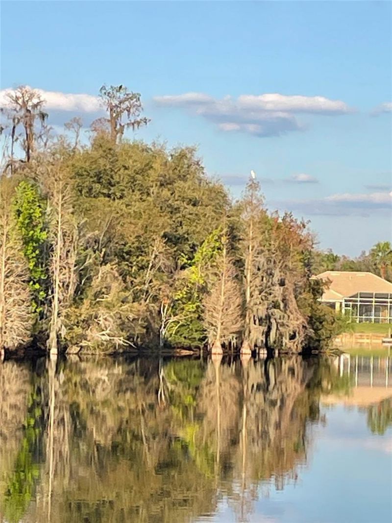 10717 Cory Lake Drive, Tampa, FL 33647 Photo