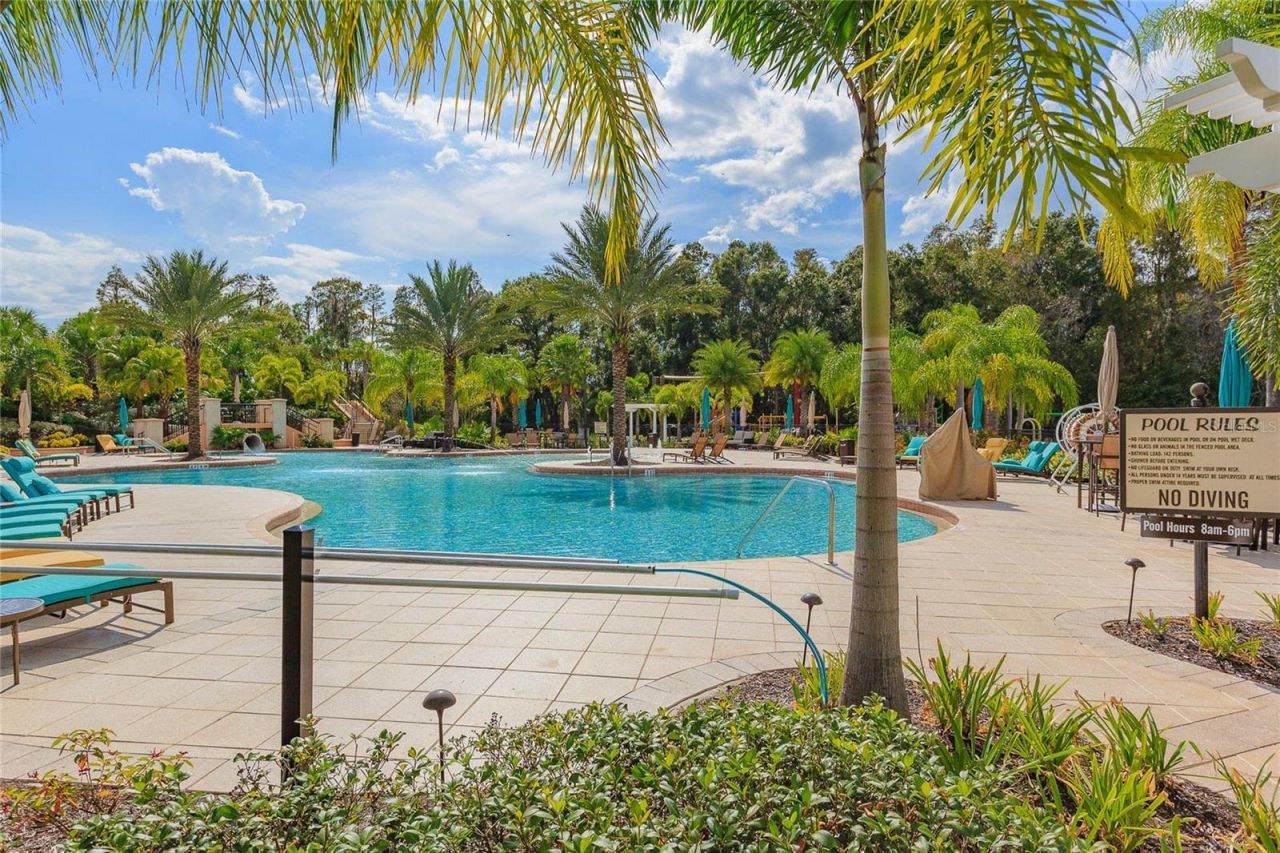 10717 Cory Lake Drive, Tampa, FL 33647 Photo