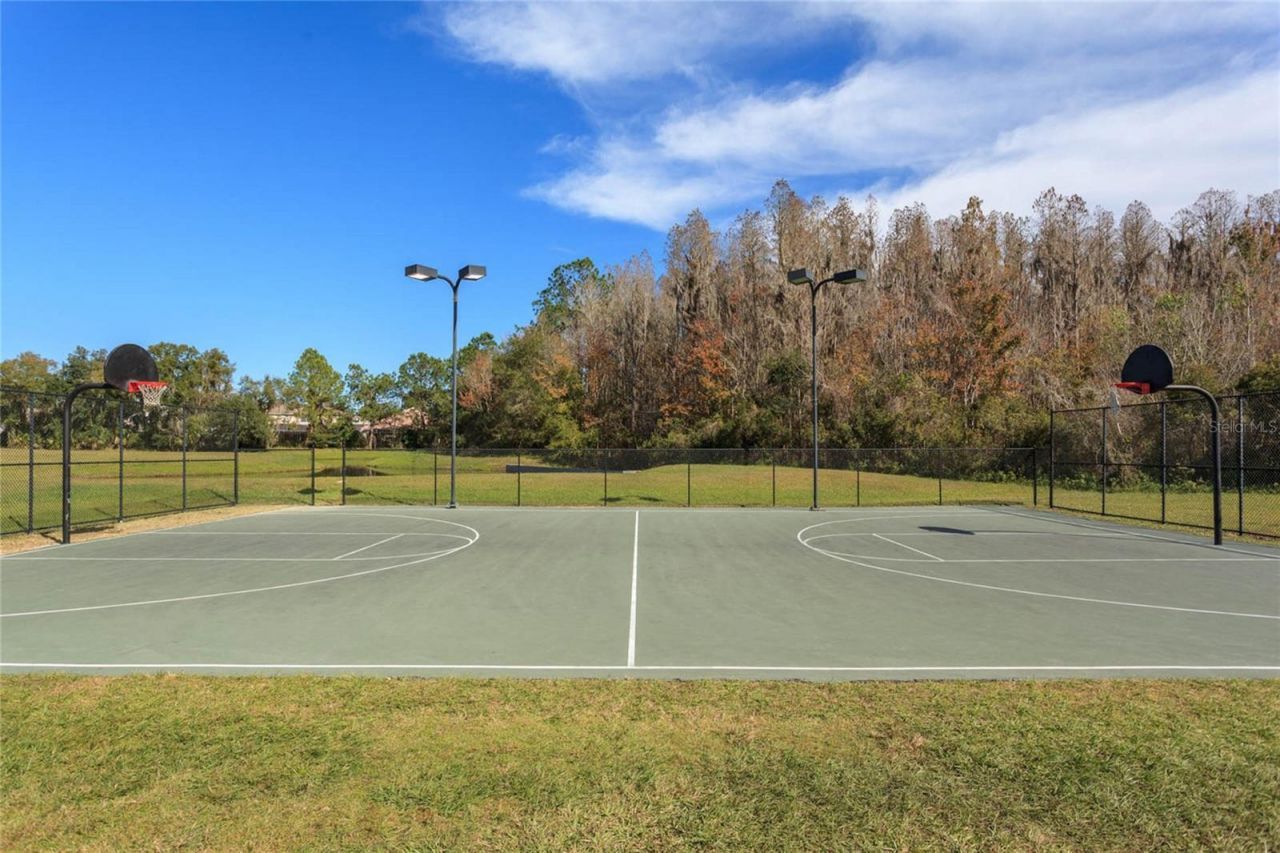 10717 Cory Lake Drive, Tampa, FL 33647 Photo
