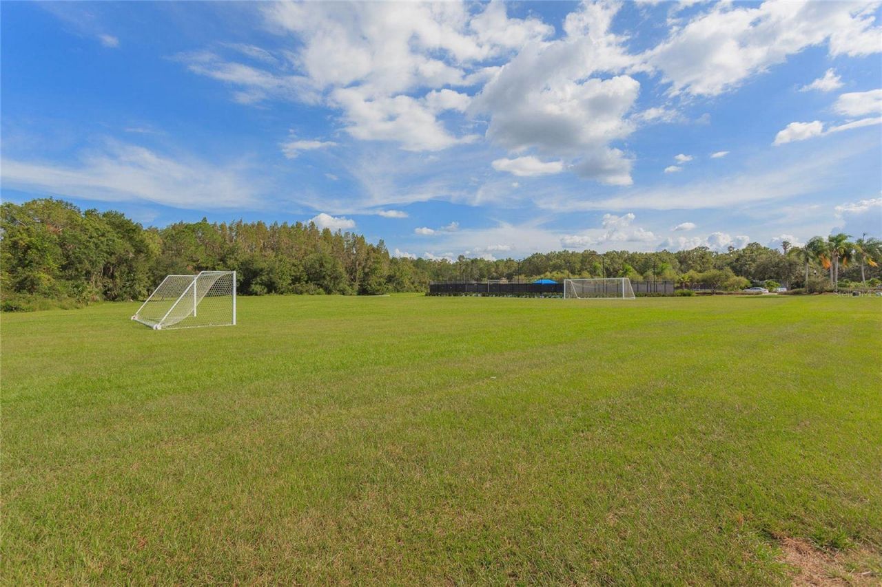 10717 Cory Lake Drive, Tampa, FL 33647 Photo