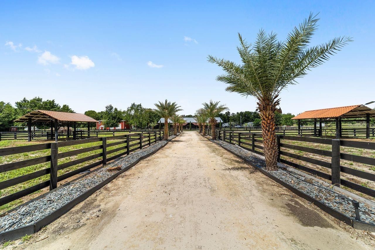 16392 NE Jacksonville Road , Citra, FL 32113 Photo
