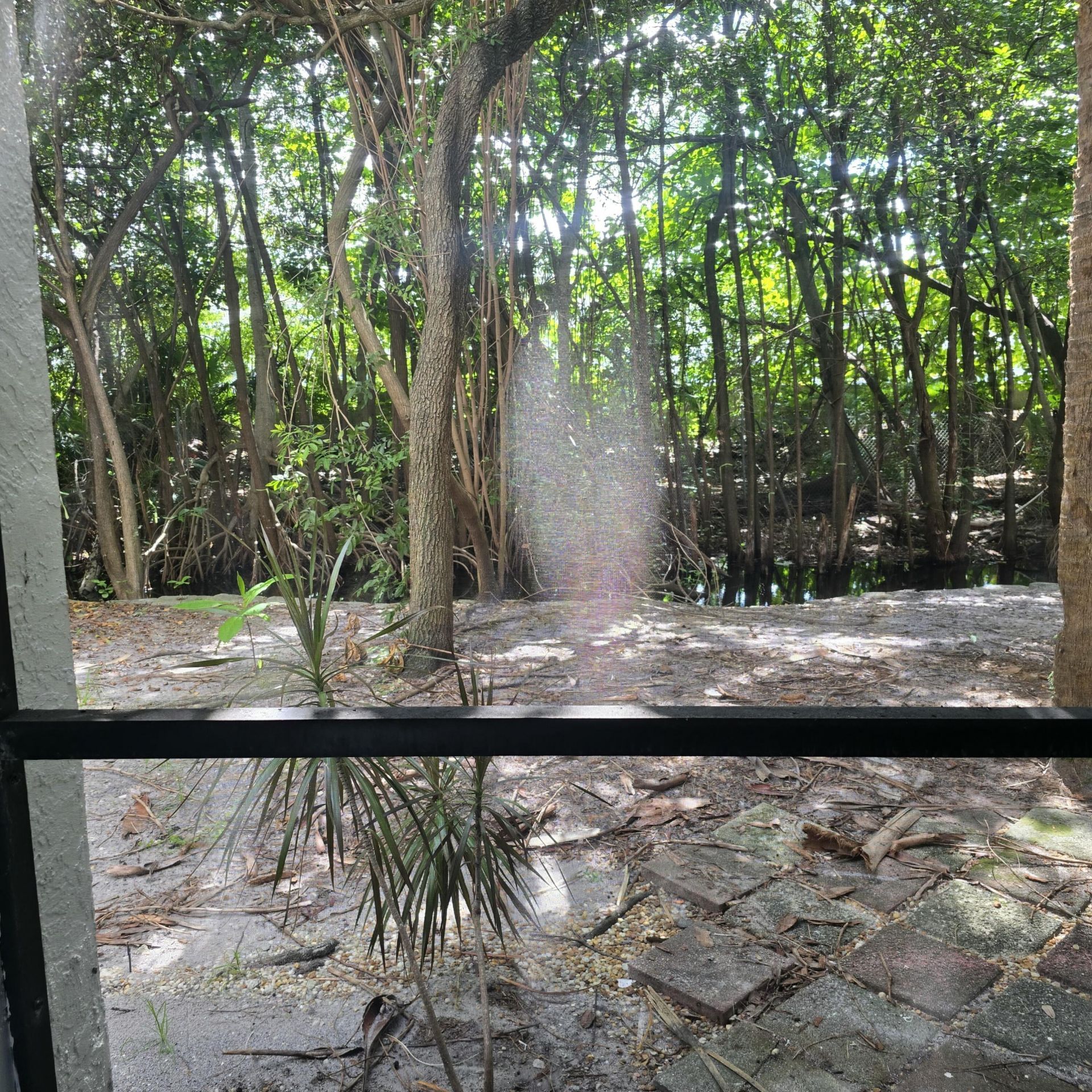 2445 SW 18th Terrace, Unit 902, Fort Lauderdale, FL 33315 Photo