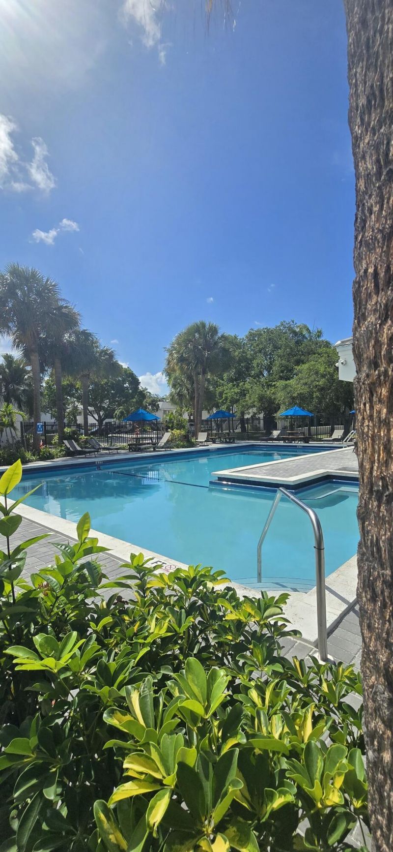 2445 SW 18th Terrace, Unit 902, Fort Lauderdale, FL 33315 Photo