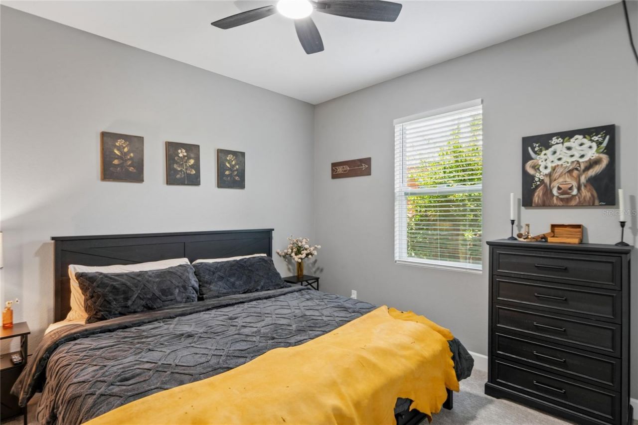2424 12th Street S, Saint Petersburg, FL 33705 Photo
