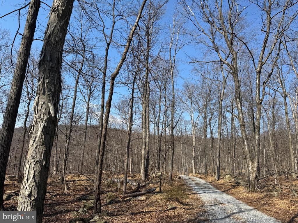 Middle Point Road , Myersville, MD 21773 Main Photo