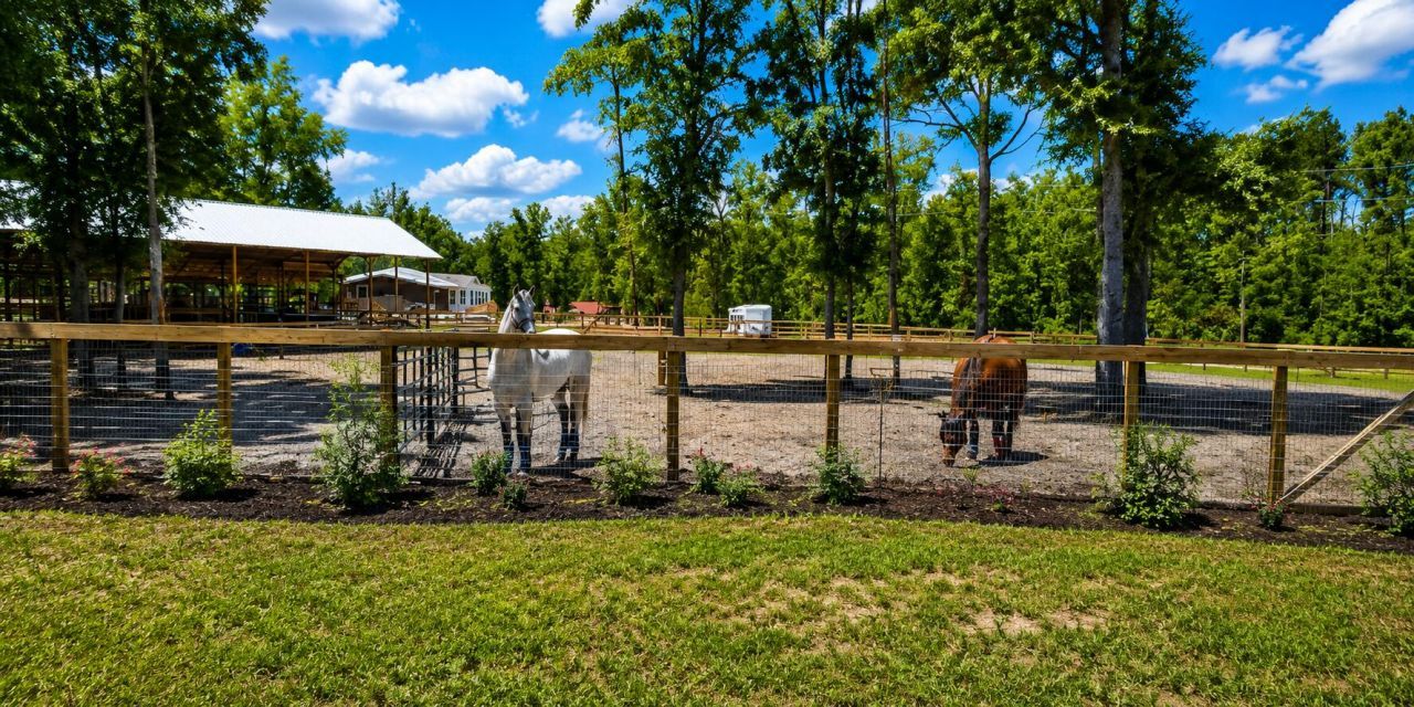 321 Marion Road Photo 8