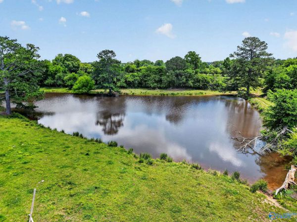 19 Acres County Highway 35, Horton, AL 35980