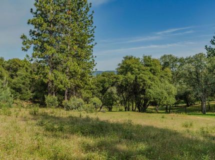 6216 Trout Ln, Mountain Ranch, CA 95246 Photo