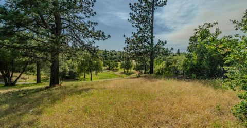 6216 Trout Ln, Mountain Ranch, CA 95246 Photo