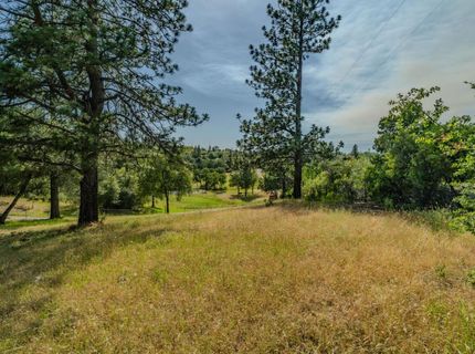 6216 Trout Ln, Mountain Ranch, CA 95246 Photo