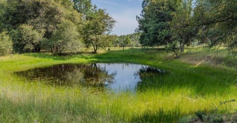 6216 Trout Ln, Mountain Ranch, CA 95246 Photo